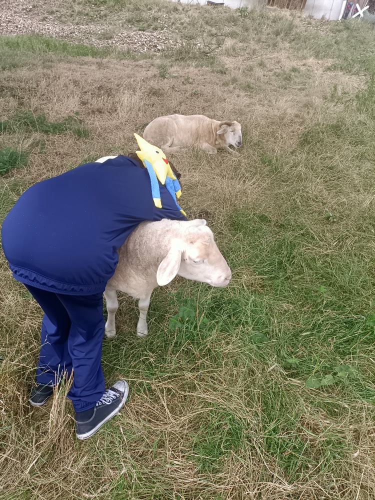 Saschas Kindertraum: tiergestützte Pädagogik